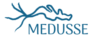 MEDUSSE_logotipo_CMYK_01